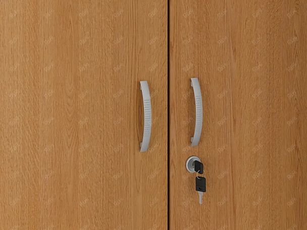 ЛАЙТ / LIGHT RLG042-70x35 Гардероб 70x35x183 Бук - Вид 7