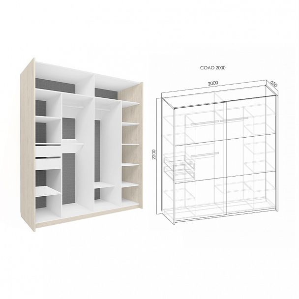 Шкаф-купе "Соло" (2000*650) - Вид 8