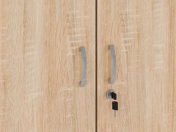 ЛАЙТ / LIGHT RLG043-70x55 Гардероб 70x55x183 Дуб Сонома - Вид 7