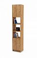 /catalog/novye-tovary/mebel/korpusnaya-mebel/polki-i-stellazhi/stellazh-kombinirovannyy-boston-5-1796121463/ - фотография