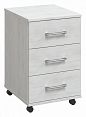 /catalog/novye-tovary/mebel/korpusnaya-mebel/tumby/tumbochka-ofis-of-22-1485353170/ - фотография