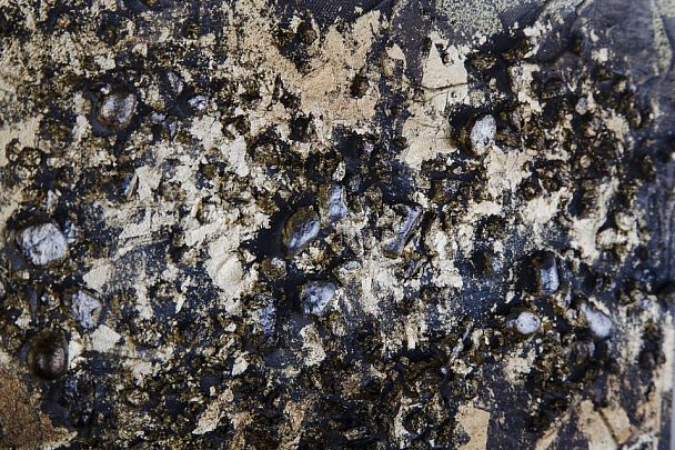 Набор из 3 картин Tomas Stern 85010 - Вид 3