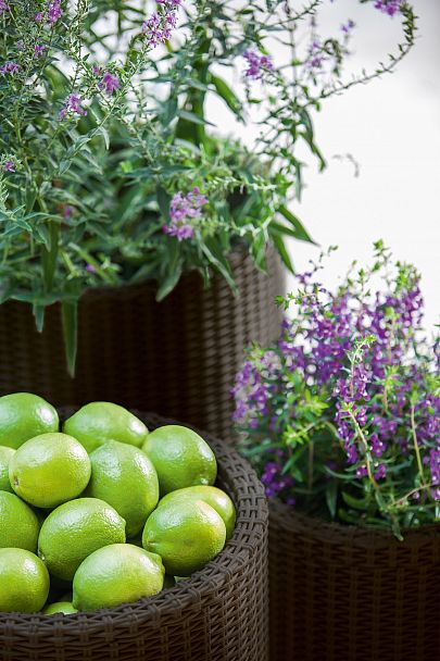 Комплект кашпо "S+M+L CYLINDER PLANTERS" - Вид 6