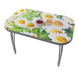 стол СТЕКЛО с фото овальный 1200*800 В Ромашки - Фото предпросмотра