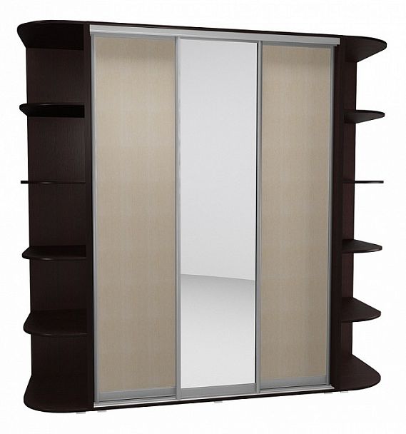 Шкаф-купе Мебелайн-13 - Вид 1