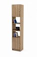/catalog/novye-tovary/mebel/korpusnaya-mebel/polki-i-stellazhi/stellazh-kombinirovannyy-boston-5-416921483/ - фотография