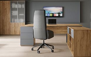 Картинка раздела - Зион Лайт / Zion Light