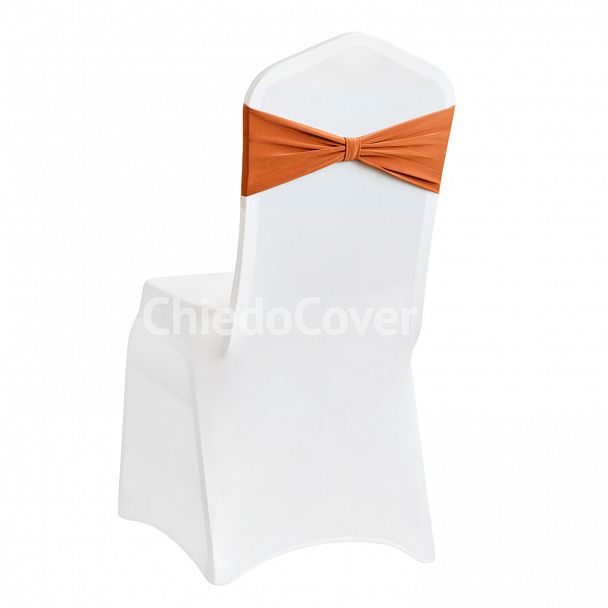 Бант 12 - Вид 3