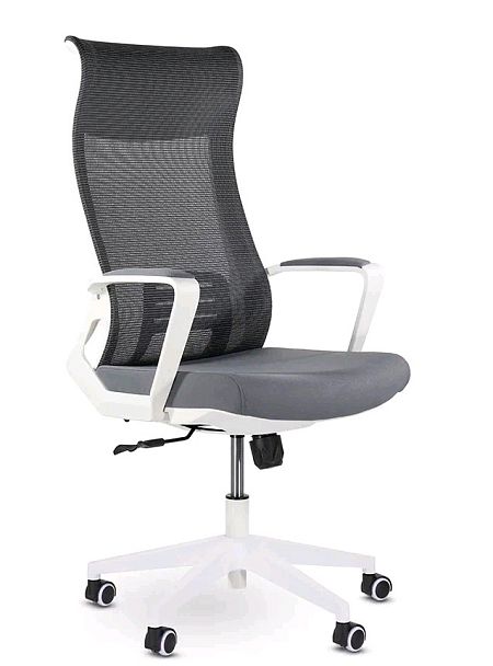 Кресло РЕКОРД М-878 БЕЛЫЙ ПЛАСТИК (СЕРЫЙ) OS-309 "Кресла для руководителей"  ТК-002587001466 серый - Вид 1