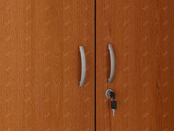 UNITY РШ-01 ВИШНЯ Гардероб Прямой 730х380х1966 - Вид 6