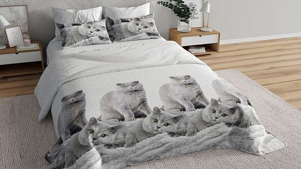 Постельное белье полутораспальное Серые британцы - Вид 1