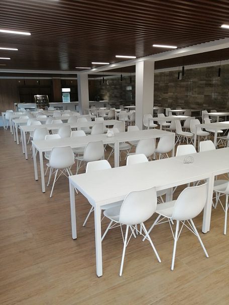 Стул Sheffilton SHT-ST29/S37 белый/белый - Вид 8