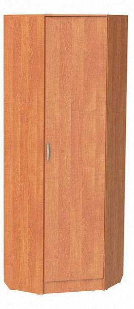Шкаф платяной ШП-10 - Вид 1