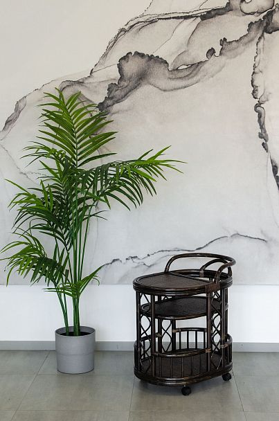 Столик сервировочный 21/06 - Вид 12