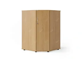 ЛАЙТ / LIGHT RLG053-8x8 Угловой шкаф 80x80x113 Бук - Фото предпросмотра