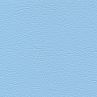 dolphin F6461609