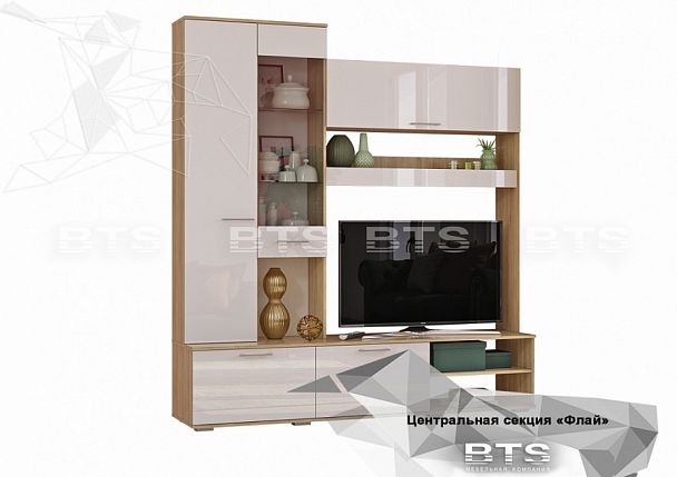 Гостиная "Флай" ЦС-01 дуб сонома/белый глянец (замена цвета) - Вид 1