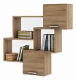 /catalog/novye-tovary/mebel/korpusnaya-mebel/stellazhi-i-polki/polka-kombinirovannaya-flesh-28-162068425/ - фотография