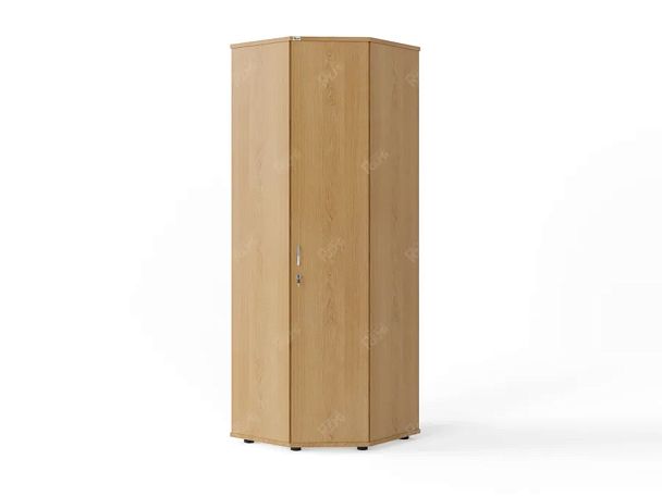 ЛАЙТ / LIGHT RLG054-62x62 Угловой шкаф 62x62x183 Бук - Вид 1