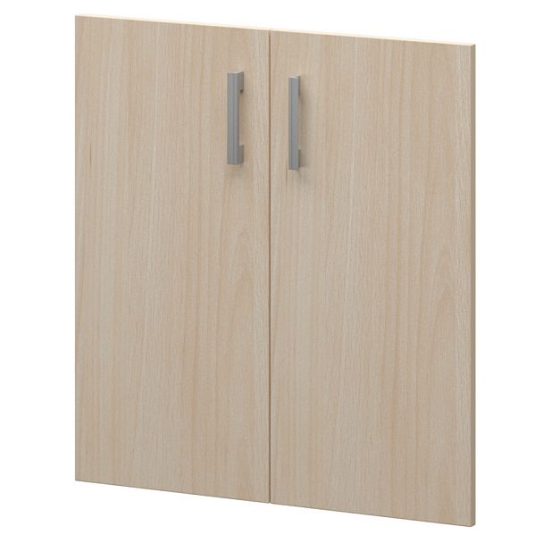 Двери для широких стеллажей А-602.Ф Бук 710x18x760 Арго - Вид 1