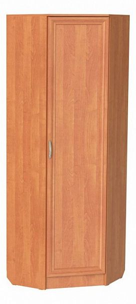 Шкаф платяной ШП-10 - Вид 1
