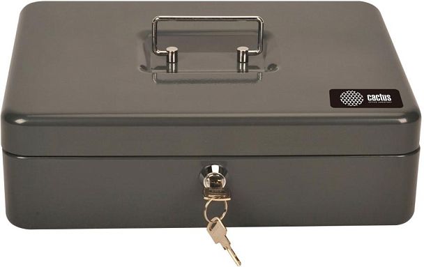 Ящик для денег Cactus CS-CB-004GY CS-CB-004 90x300x240мм ключевой серый сталь 1.967кг - Вид 1