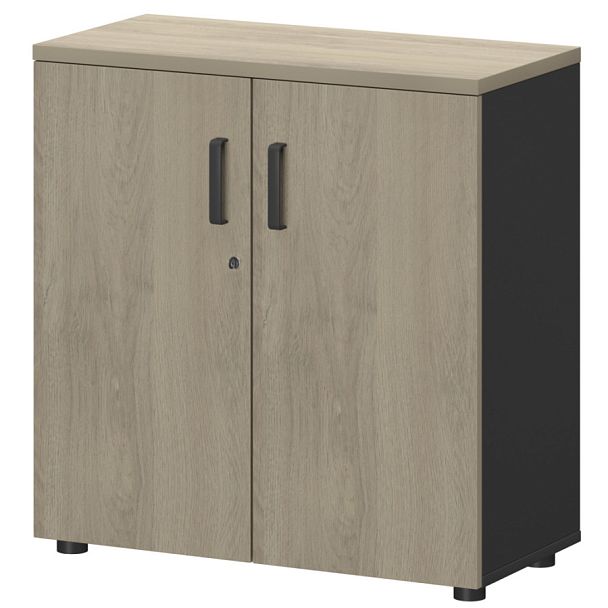 Шкаф СМШ-28Д Тип2 Графит/Кронберг 792x380x836 Смарт - Вид 1