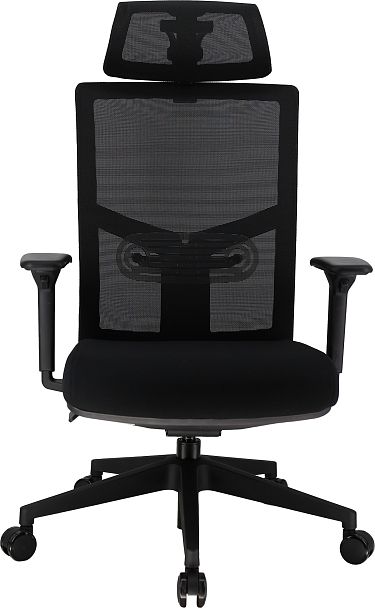 Эргономичное кресло Everprof Fuji (Фуджи) Сетка Черный - Вид 2