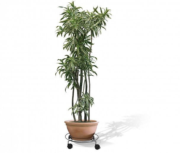 Подцветочница Sheffilton Пальмина 3 черный - Вид 4