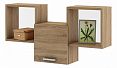 /catalog/novye-tovary/mebel/korpusnaya-mebel/stellazhi-i-polki/polka-kombinirovannaya-flesh-20-710985762/ - фотография