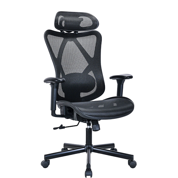 Кресло BRABIX PREMIUM "Axion ER-701", синхромеханизм, регулируемые подголовник и спинка, сетка, черное, 532965 - Вид 1