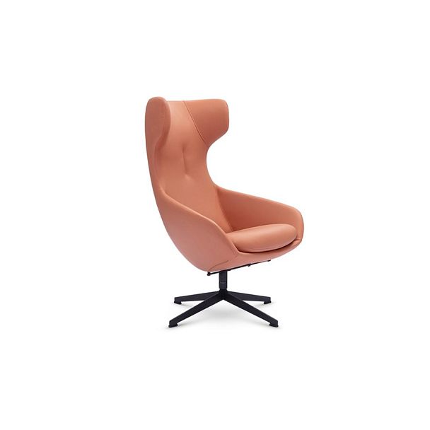 Кресло Enigma (Enigma art.D100) - Вид 1