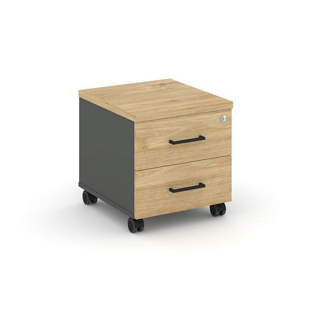 Стайл Проджект Тумба мобильная усил. колеса SN.TMU-001 Антрацит/Тиквуд Светлый/Черный Ручки 416*460* - Вид 1