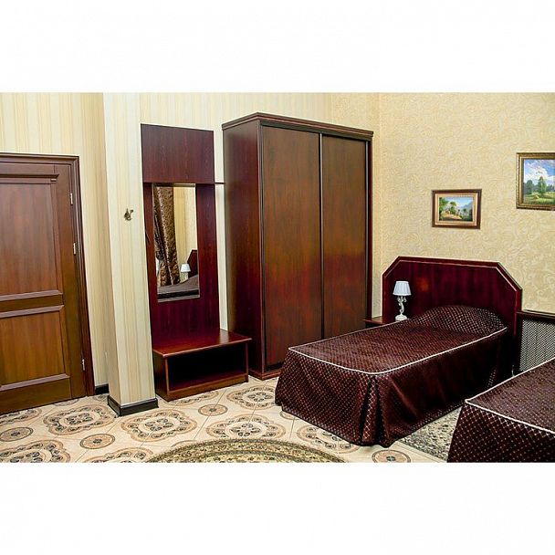 Шкаф-купе "Люкс" с зеркалом - Вид 3