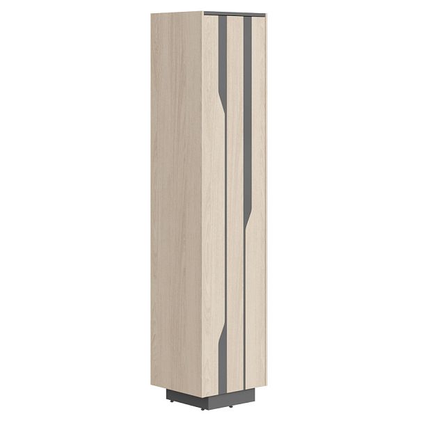 Шкаф СФ-574203 Дуб светлый/Черный графит 464х430х2100 LINE - Вид 1