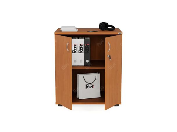 ЛАЙТ / LIGHT RLG033-70x55 Шкаф 2 полки 70x55x77 Вишня - Вид 2