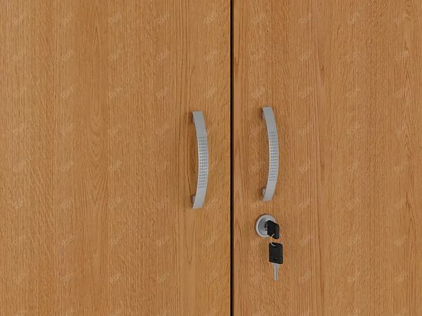 ЛАЙТ / LIGHT RLG043-70x55 Гардероб 70x55x183 Бук - Вид 8