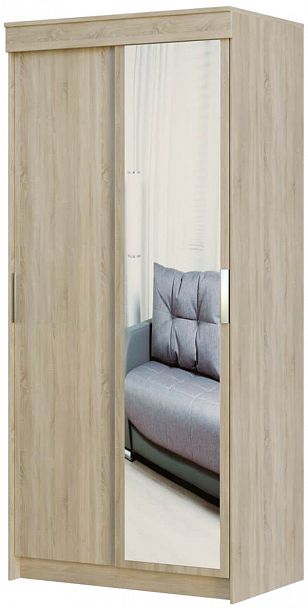 Шкаф-купе "Оптима" 100 (зеркало) - Вид 1