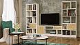 /catalog/dlya_doma/mebel-dlya-gostinoy/stenki/nabor-dlya-gostinoy-viktoriya-1243995529/ - фотография