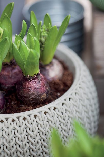 Кашпо с подвесом "COZIES S" - Вид 9