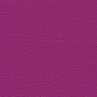 cyclame F6461381