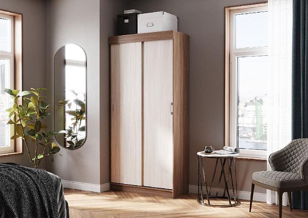 Андрей-Эконом (евро) шкаф-купе (1000*2100*416 мм) ясень шимо темный/ясень шимо светлый - Вид 3