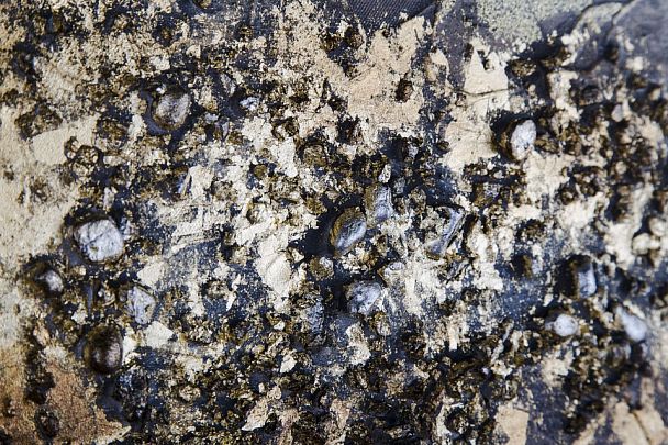 Набор из 3 картин Tomas Stern 85010 - Вид 4