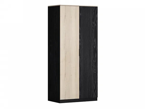 Дельта Лофт шкаф 2-х дверный 13.02 Black - Вид 1