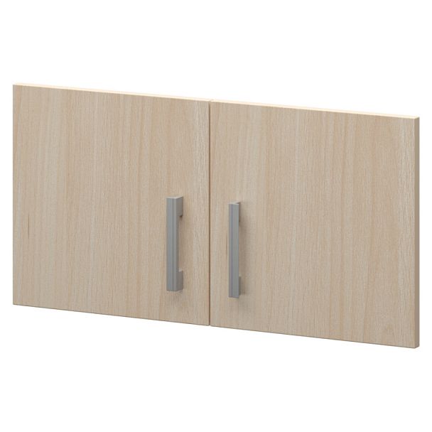 Двери для антресоли А-603.Ф Бук 710x18x390 Арго - Вид 1