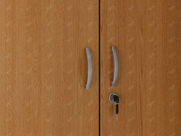 ЛАЙТ / LIGHT RLG044-70x55 Гардероб 70x55x183 Бук - Вид 7