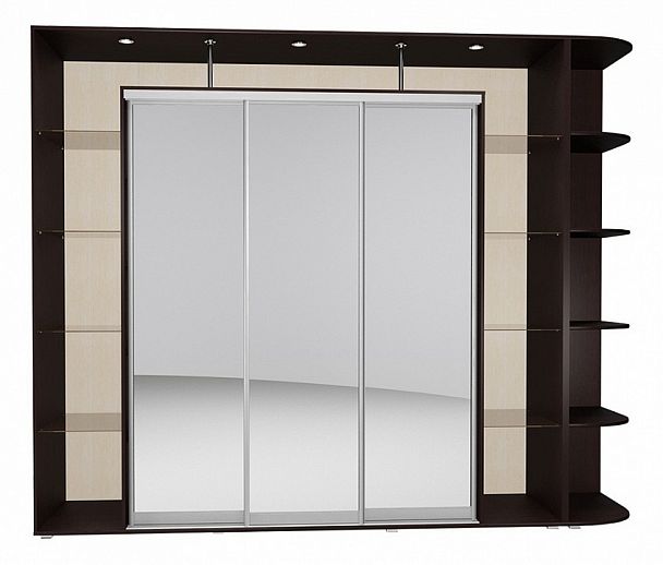 Шкаф-купе Мебелайн-24 - Вид 1