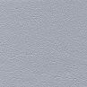 silber F6461550