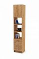 /catalog/novye-tovary/mebel/korpusnaya-mebel/polki-i-stellazhi/stellazh-kombinirovannyy-boston-6-275782011/ - фотография