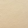 madras ivory
